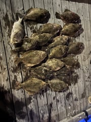Fishing in Galveston, Texas