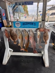 Fishing in Panama City, Florida