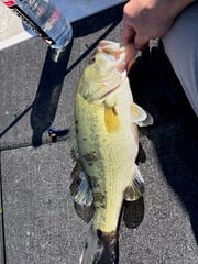 Fishing in Alba, Texas