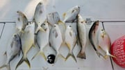 Fishing in Biloxi, Mississippi