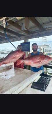 Fishing in Orange Beach, Alabama