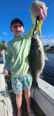 Fishing in Delray Beach, Florida