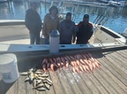 Fishing in Pensacola, Florida