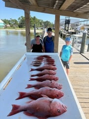 Fishing in Gulf Shores, Alabama