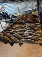 Fishing in Venice, Louisiana