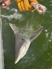 Fishing in Galveston, Texas