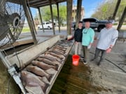 Fishing in Delacroix, Louisiana