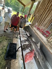 Fishing in D'Iberville, Mississippi
