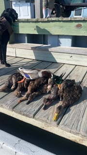 Hunting in Freeport, Texas