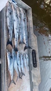 Fishing in Little River, South Carolina