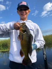 Peacock Bass fishing in Fort Lauderdale, Florida