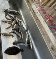 Fishing in D'Iberville, Mississippi