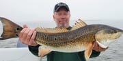 Redfish fishing in Saint Bernard, Louisiana