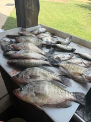 Fishing in Pope, Mississippi