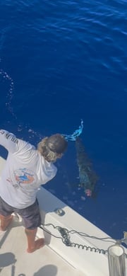 Fishing in Kailua-Kona, Hawaii