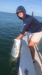 Fishing in St. Petersburg, Florida