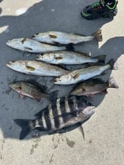 Fishing in Punta Gorda, Florida