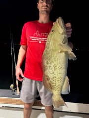 Fishing in St. Petersburg, Florida