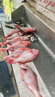 Fishing in D'Iberville, Mississippi