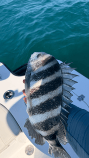 Fishing in Bokeelia, Florida