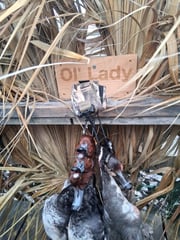 Hunting in Aransas Pass, Texas