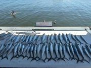 Fishing in Foley, Alabama
