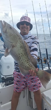 Fishing in Sarasota, Florida
