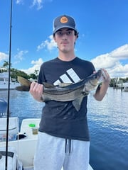 Fishing in Punta Gorda, Florida