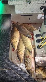 Fishing in Powersite, Missouri