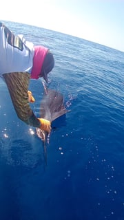 Fishing in Quepos, Costa Rica