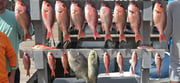 Fishing in Panama City, Florida