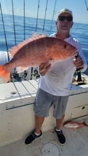 Fishing in D'Iberville, Mississippi