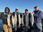 Fishing in Kasilof, Alaska