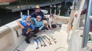 Fishing in Thompsonville, Michigan