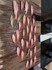 Fishing in Panama City, Florida