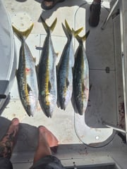 Fishing in Dana Point, California