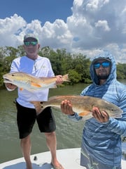 Fishing in Tampa, Florida