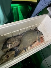 Fishing in Liberty Hill, Texas