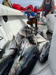 Fishing in Venice, Louisiana
