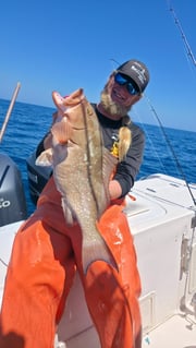 Fishing in Clearwater, Florida