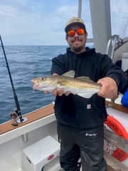 Fishing in Gloucester, Massachusetts