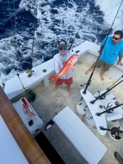 Fishing in Islamorada, Florida