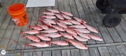 Fishing in Johns Island, South Carolina