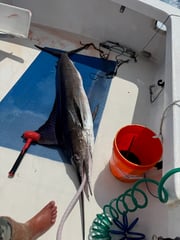 Fishing in Honolulu, Hawaii