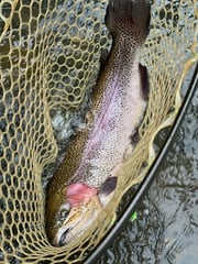 Fishing in Broken Bow, Oklahoma