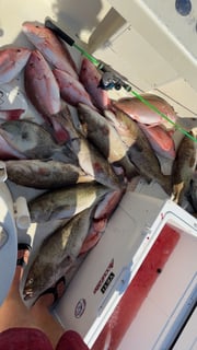 Fishing in Panama City Beach, Florida