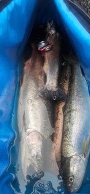 Fishing in Montesano, Washington