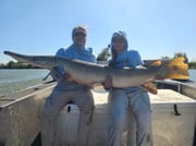 Fishing in Hockley, Texas