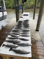 Fishing in Saint Bernard, Louisiana