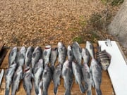 Fishing in Morehead City, North Carolina